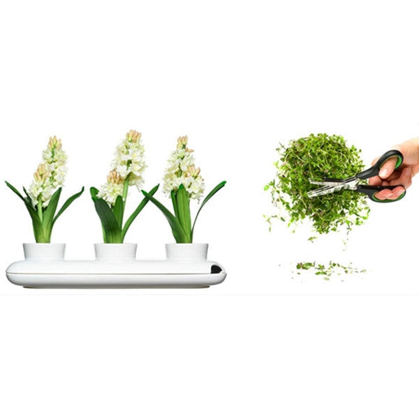 Sagaform Trio Herb Pot