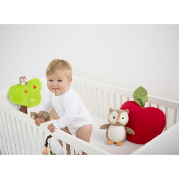 Apple Park Patterned Owl Blankie